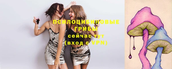 дмт Беломорск