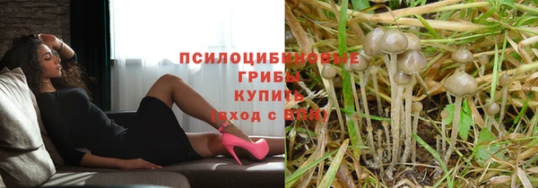 дмт Беломорск