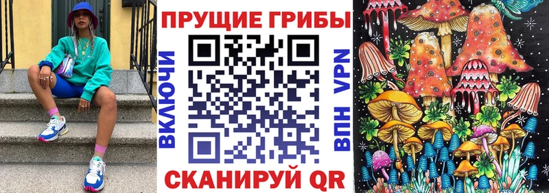 хочу наркоту  Янаул  Псилоцибиновые грибы Cubensis 